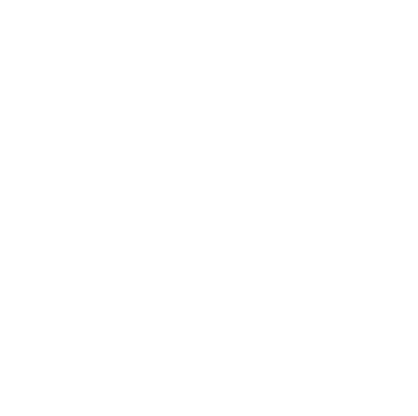 Fondazione Palazzi